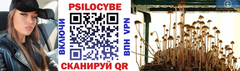 Купить где Ликино-Дулёво Галлюциногенные грибы Psilocybine cubensis